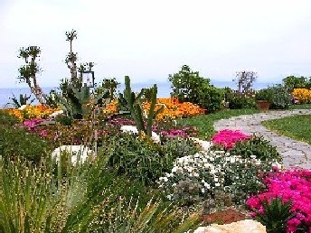 Forio/Ischia